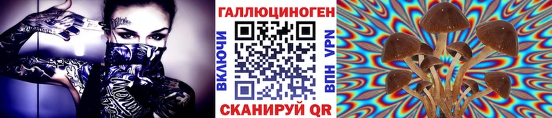 Псилоцибиновые грибы Psilocybine cubensis Ува